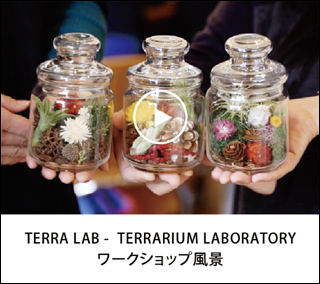 TERRALABワークショップ風景